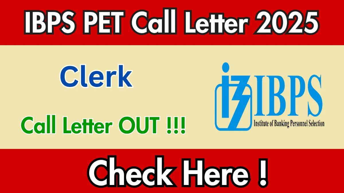 IBPS Clerk PET Call Letter 2025