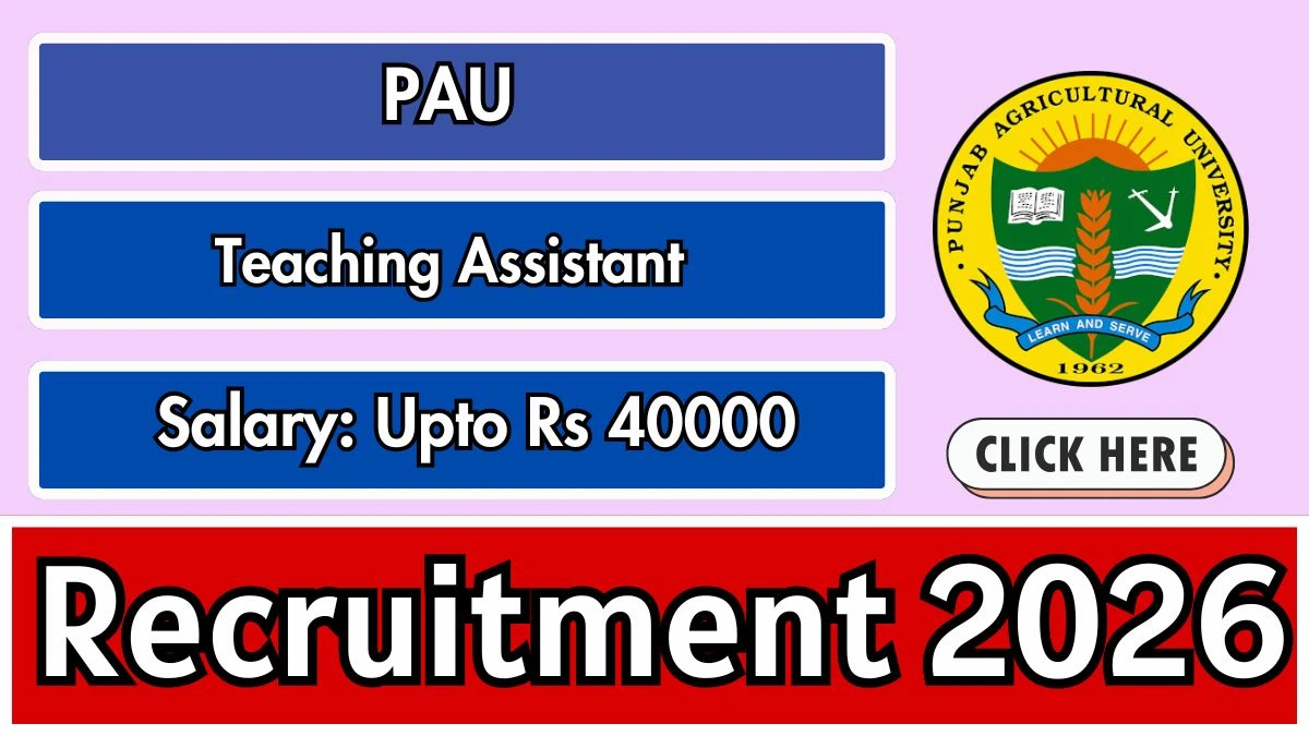 PAU Teaching Assistant Recruitment 2026