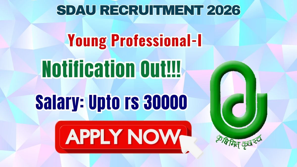 SDAU Young Professional Recruitment 2026